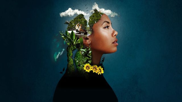Blue Carbon - Le super-pouvoir de la nature