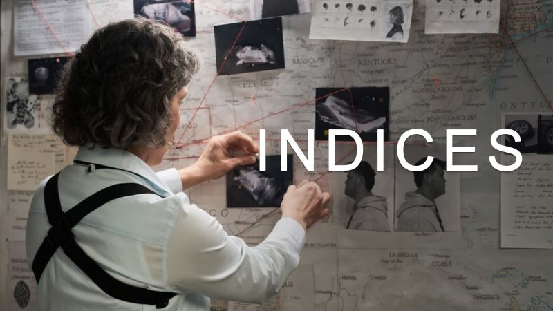 Indices - S04E06