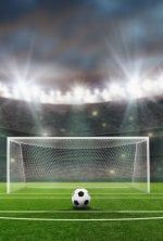 Football : Ligue 1 McDonald's