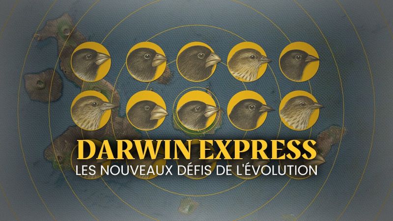 Darwin express - Les nouveaux défis de l'évolution