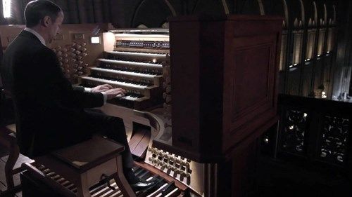 In the Organ's Stomach