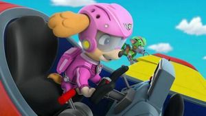 Paw Patrol, la Pat'Patrouille (Pilotes de haut-vol) S3 (23/26)