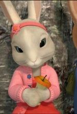 Pierre Lapin