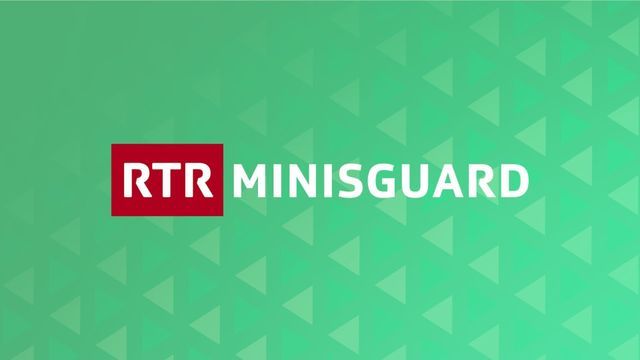 Minisguard — RSI 2 20:10