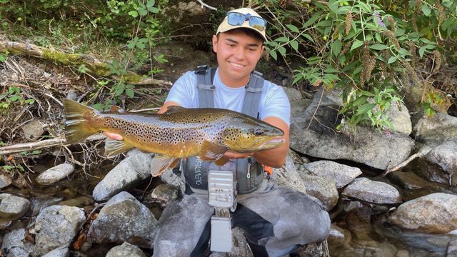 L'Ariège au fil des nymphes