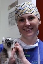 La clinique des animaux exotiques